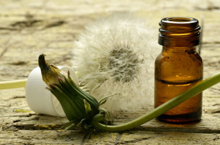 Best Herbal Remedies for Winter Image